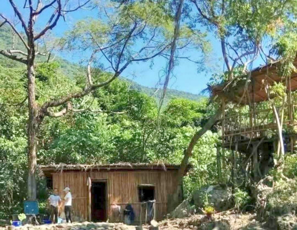 179384_Fotor - 報新聞 Mega News