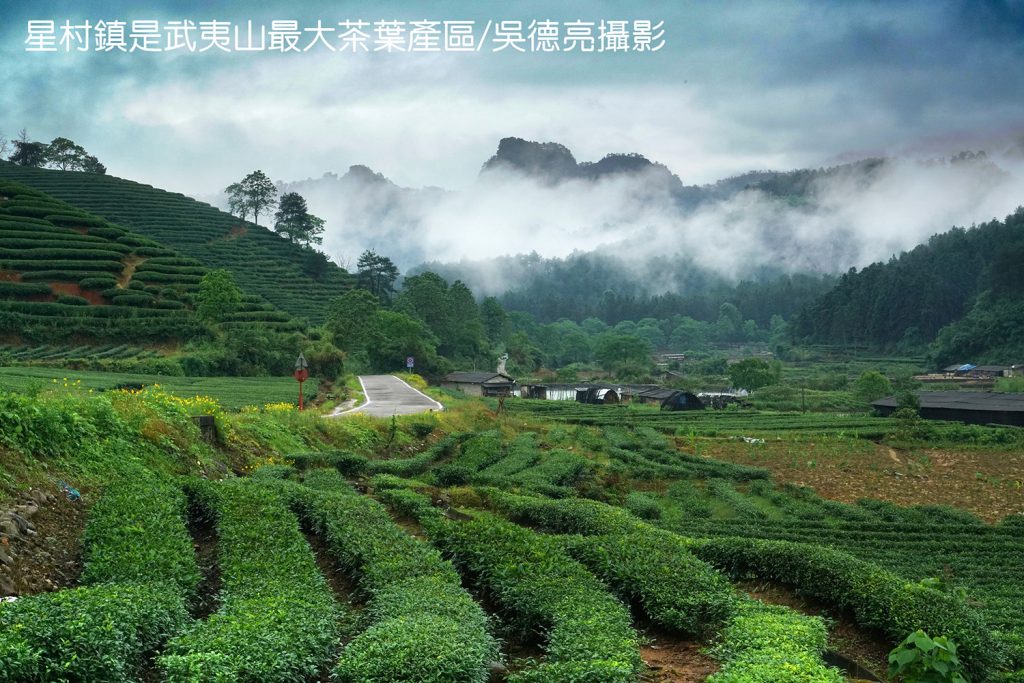 武夷山星村鎮桐木村00010 - 報新聞 Mega News