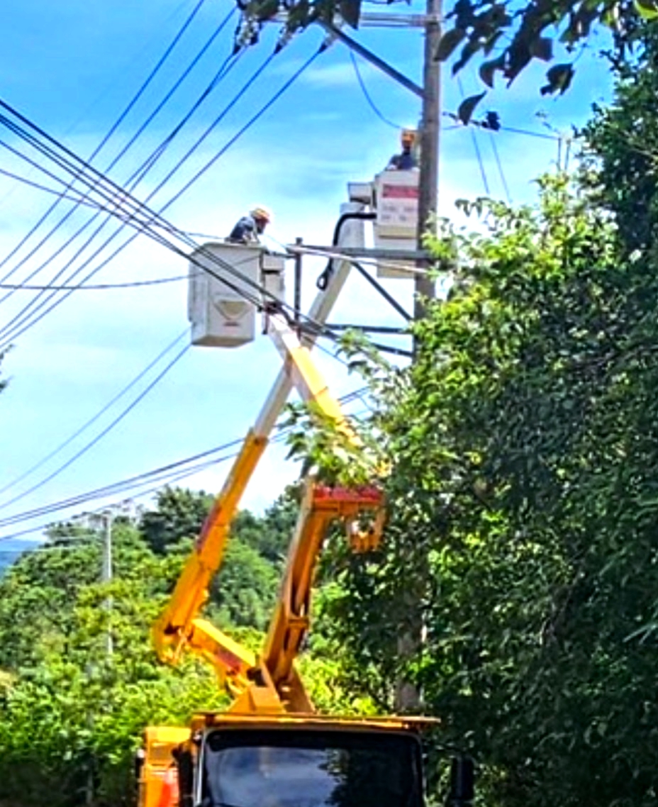 S__85025106_0_Fotor4 - 報新聞 Mega News