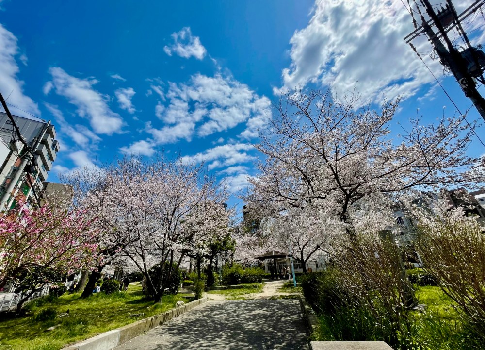 03%E5%84%AA%E5%A4%8F%E5%9C%8B%E9%9A%9B%E9%A1%A7%E5%95%8F%E4%BB%A5%E5%A4%A7%E9%98%AA%E5%9C%A8%E5%9C%B0%E5%9C%98%E9%9A%8A%E6%89%93%E9%80%A0%E5%AE%89%E5%BF%83%E9%AB%94%E9%A9%97