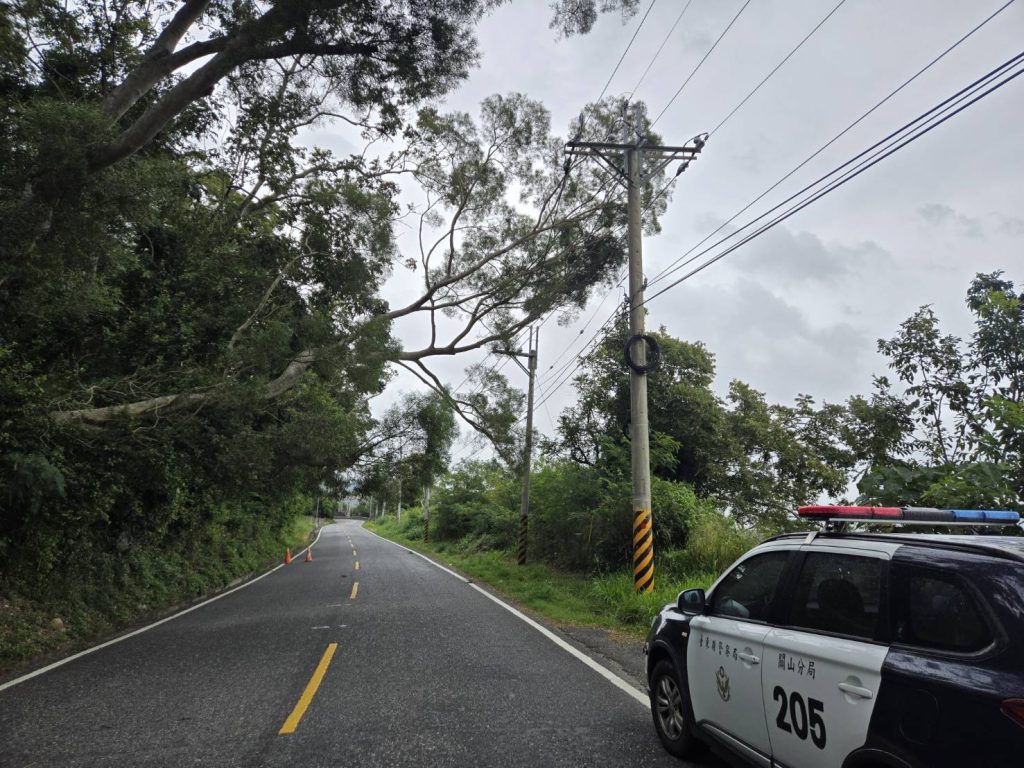 15米邊坡路樹不敵「鳳凰颱風」外圍環流強風傾倒 海端警即時應變處置護交安
