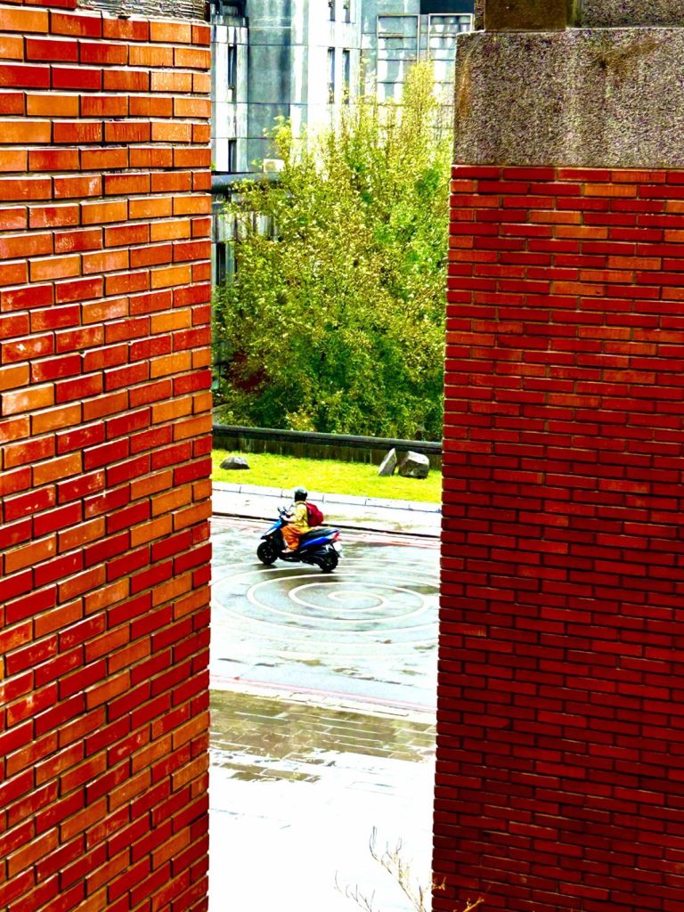 【郎亞玲有情癡】垂青