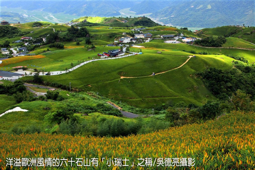 茶香與金針花在東台灣小瑞士共舞00005 - 報新聞 Mega News