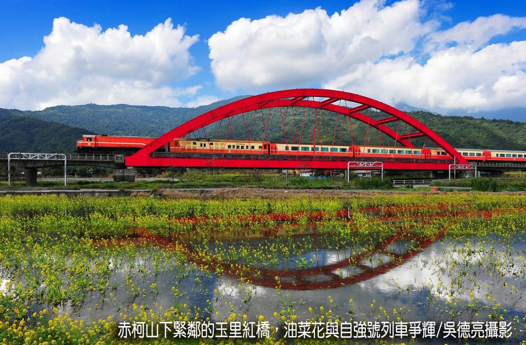 茶香與金針花在東台灣小瑞士共舞00009 - 報新聞 Mega News