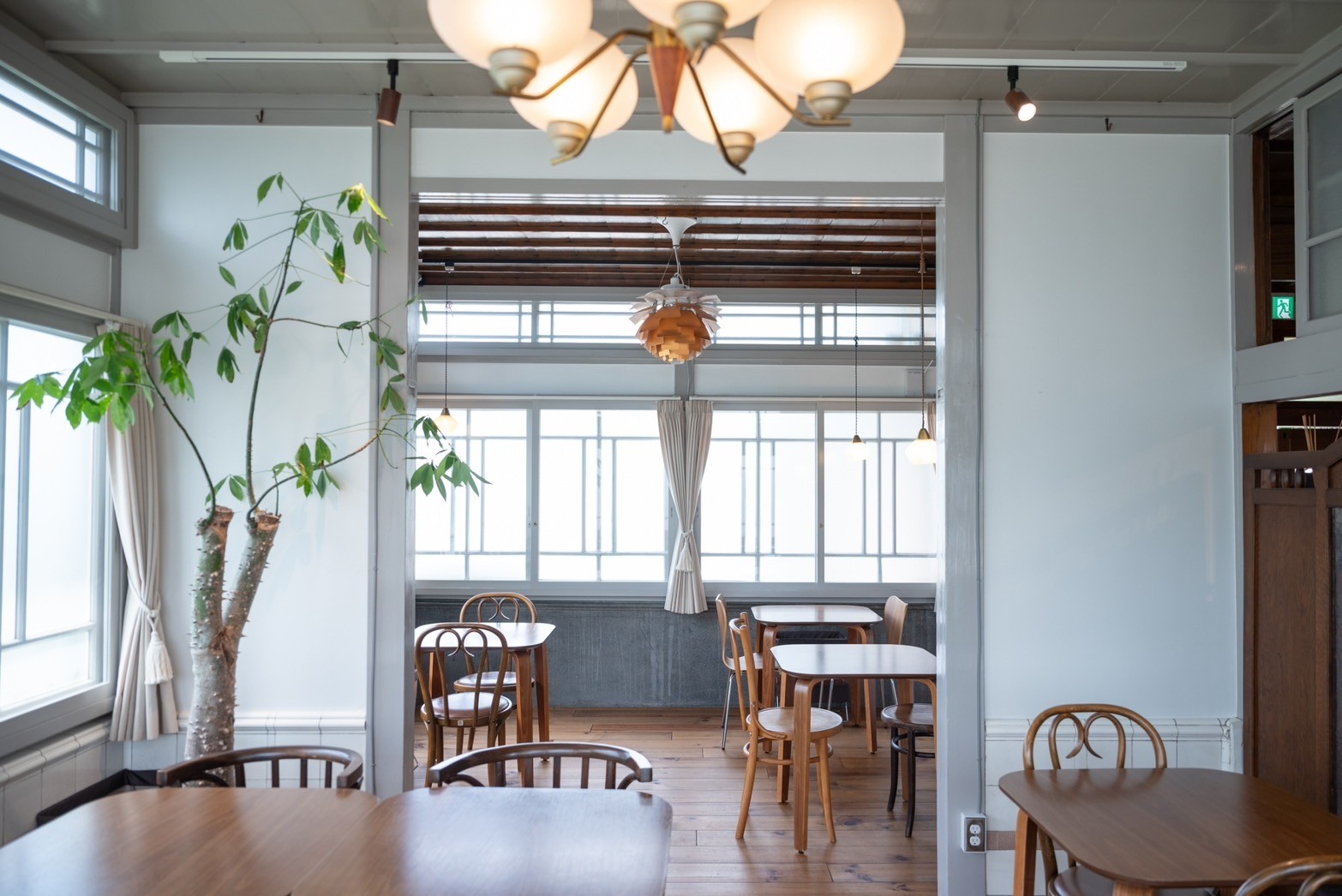 「日本名水百選」菊池溪谷楓紅炸裂！熊本 5 大賞楓勝地必訪半日遊