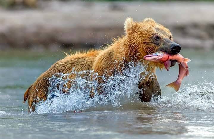 6568748_0 - 報新聞 Mega News