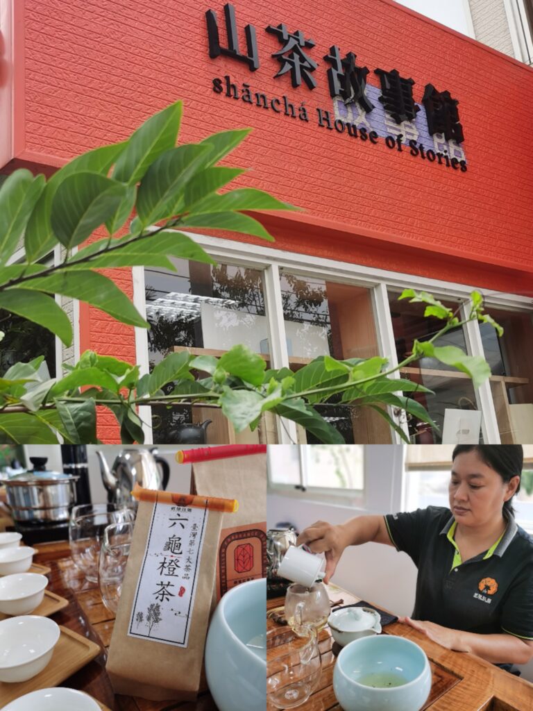 上山喝茶、下海吃魚!高雄農村雙路線玩翻秋冬,山線慢旅 × 海線趣體驗一次滿足 7 Collage 20251125 235220 115318 768x1024 1