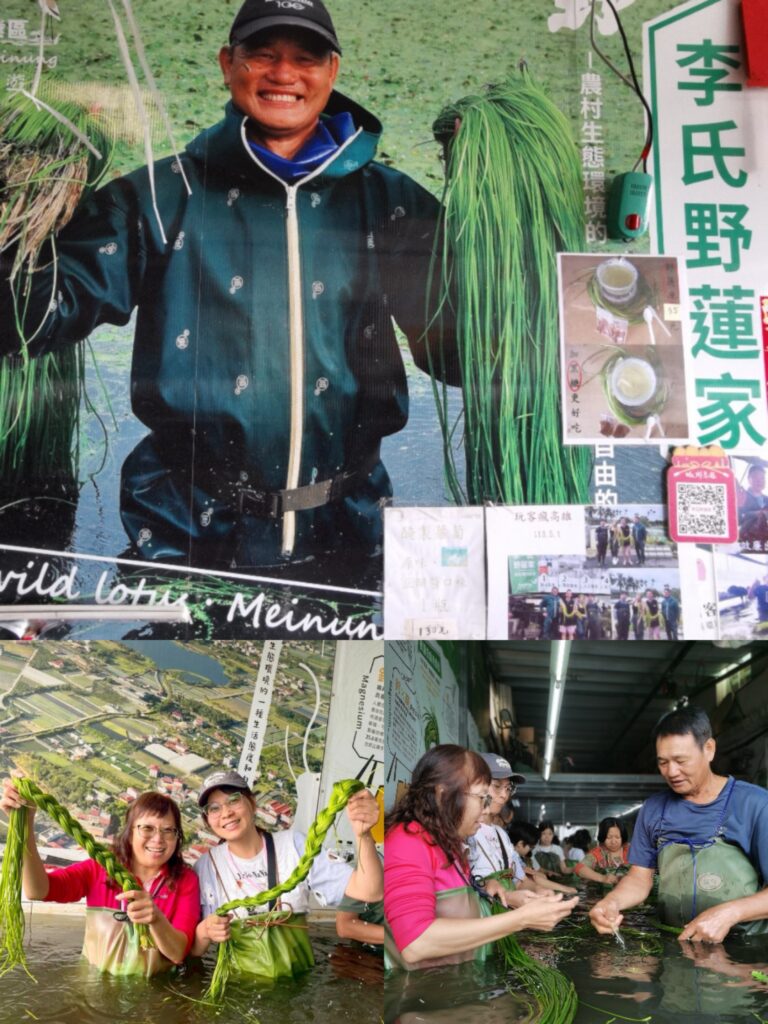 上山喝茶、下海吃魚!高雄農村雙路線玩翻秋冬,山線慢旅 × 海線趣體驗一次滿足 8 Collage 20251125 234614 115429 768x1024 1