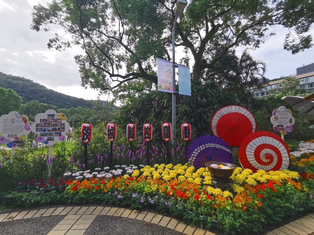 IMG 20251126 101115 1024x768 1