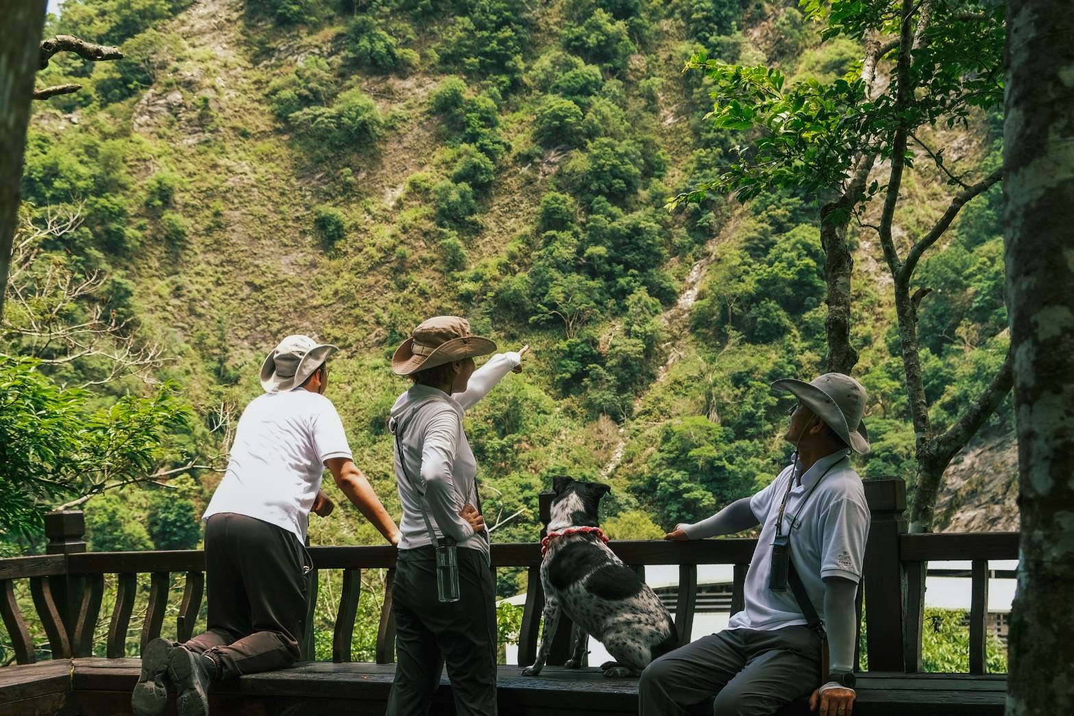 太魯閣晶英圖4 - 報新聞 Mega News