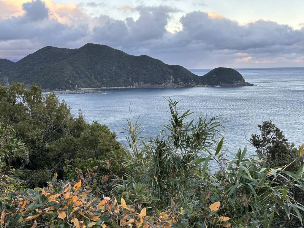 1764851649204 - 報新聞 Mega News