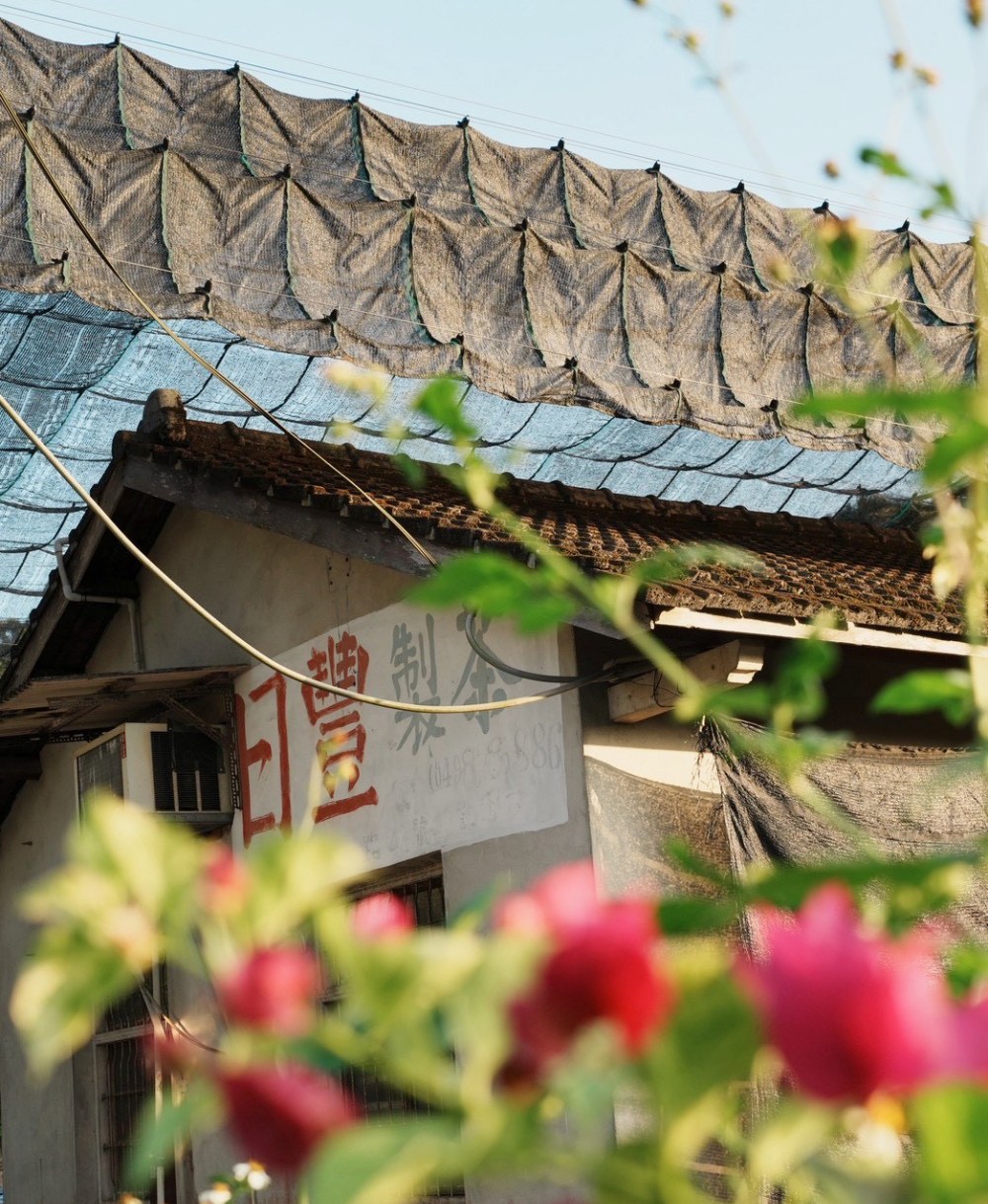 三代茶香傳世 日豐製茶以匠心打造高山茶葉禮盒新風貌 6 03%E6%97%A5%E8%B1%90%E8%A3%BD%E8%8C%B6%E4%BB%A5%E5%8C%A0%E5%BF%83%E6%89%93%E9%80%A0%E9%AB%98%E5%B1%B1%E8%8C%B6%E8%91%89%E7%A6%AE%E7%9B%92%E6%96%B0%E9%A2%A8%E8%B2%8C