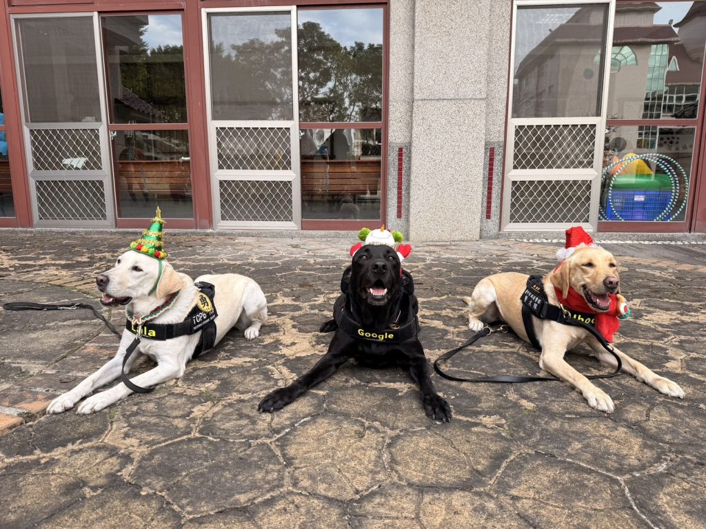 最萌反毒陣容登場!中市警犬隊聖誕裝現身校園 寓教於樂宣導反毒