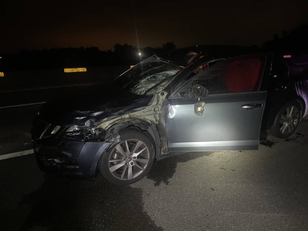 西濱快速道路驚見馬匹 自小客車閃避不及發生碰