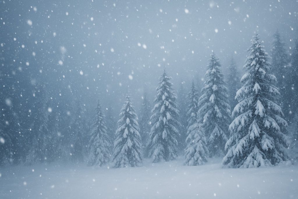 大雪之道・國際局勢掛象:雷山小過,退守者大吉