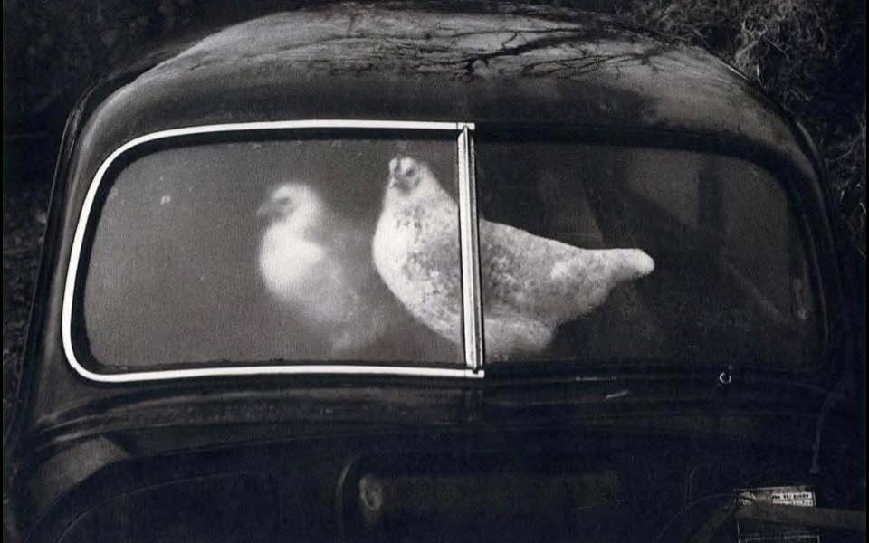 當影像不再讓人不舒服