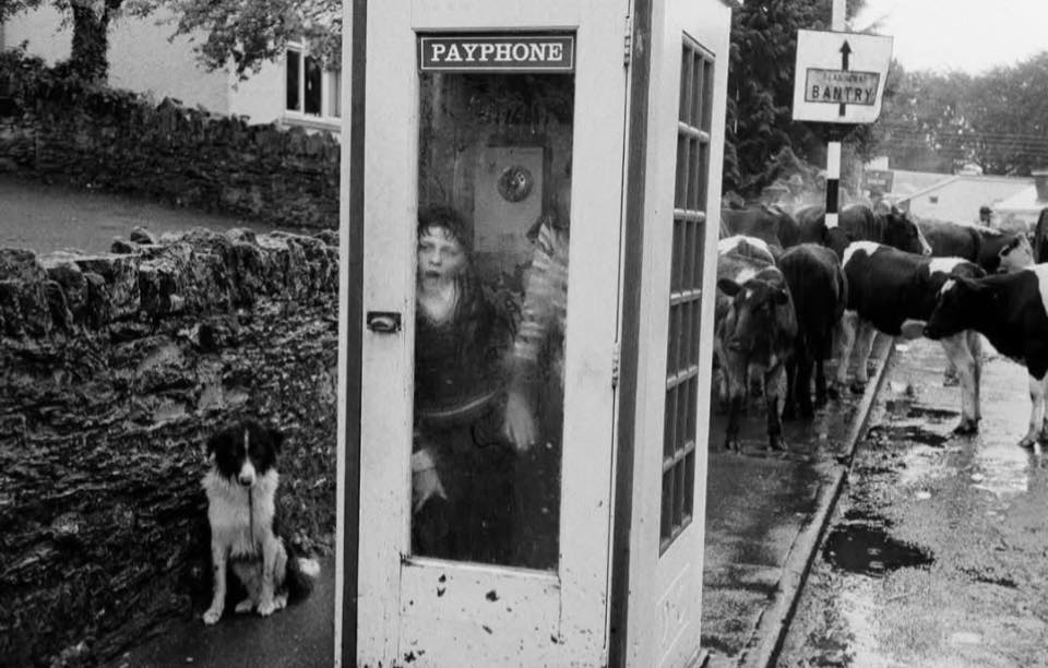 Screenshot - 報新聞 Mega News