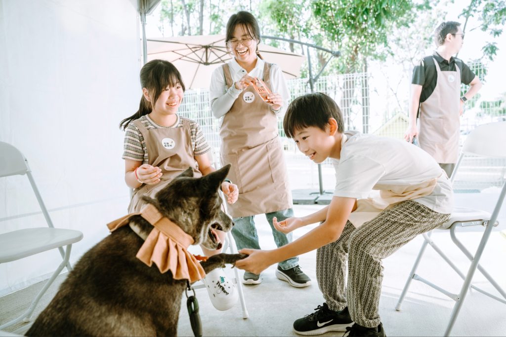 體驗設計翻轉送養思維「毛孩森活探險隊」打造公立收容所新典範