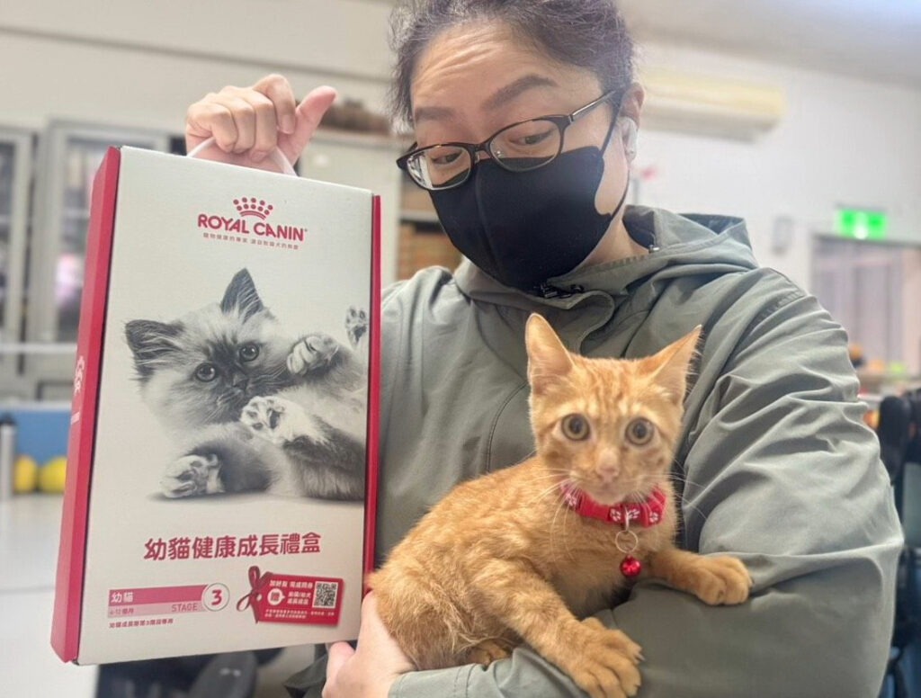 %E5%B0%8F%E6%A9%98%E8%B2%93%E9%96%8B%E5%BF%83%E7%9A%84%E8%88%87%E4%B8%BB%E4%BA%BA%E4%BA%92%E5%8B%95%E4%B8%AD 1024x776 1