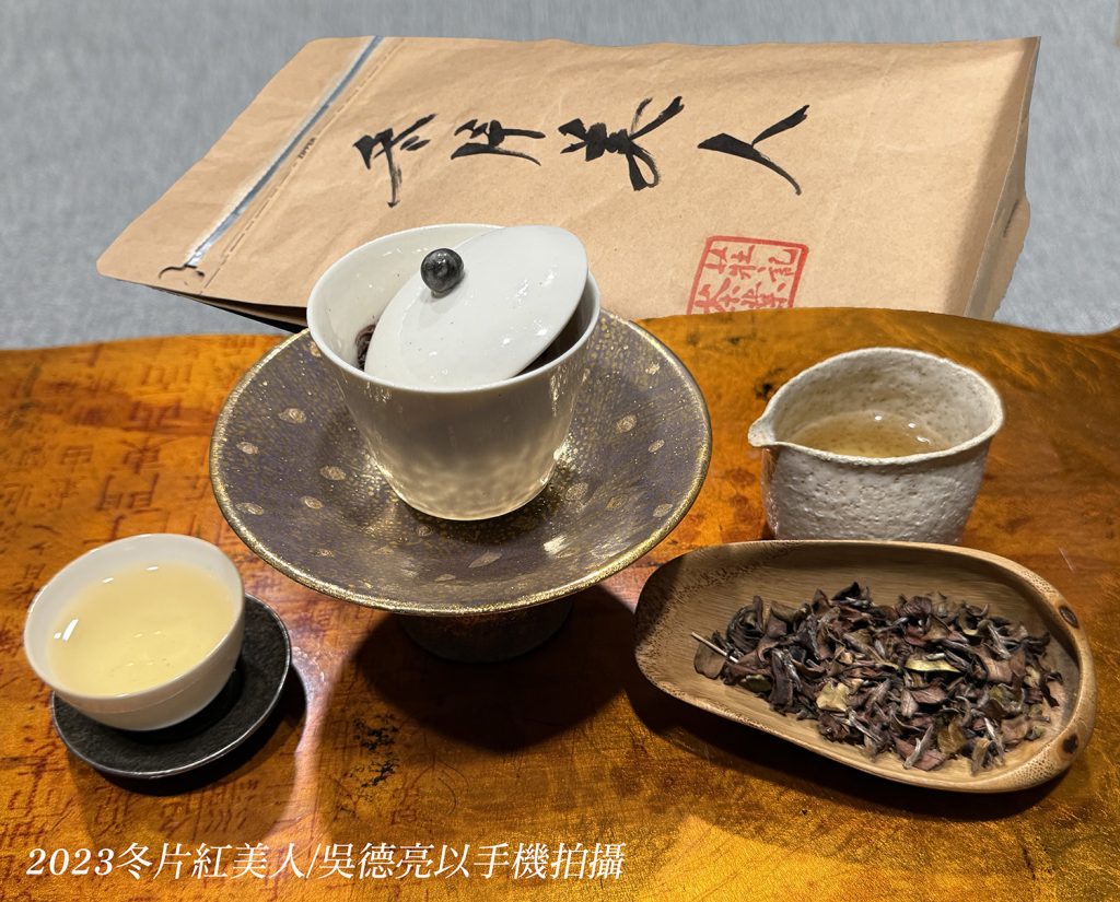 冬片美人與野放五色白茶品賞