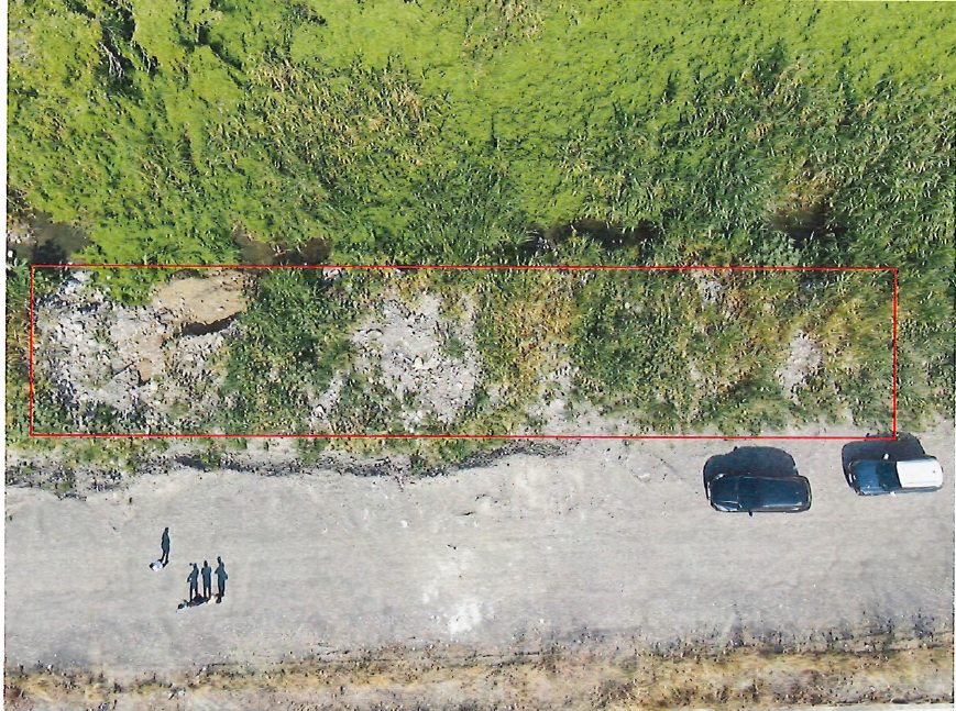 S__484843645 - 報新聞 Mega News