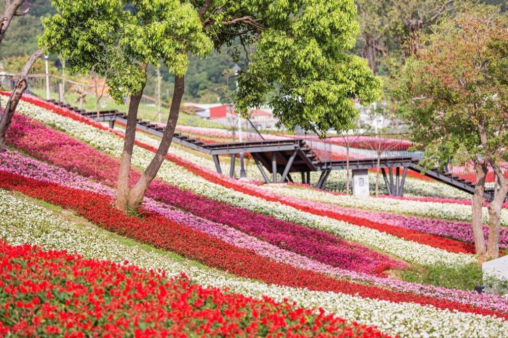 fa0162aa 8386 4fa5 a786 dfa763e3e61e 1024x682 1