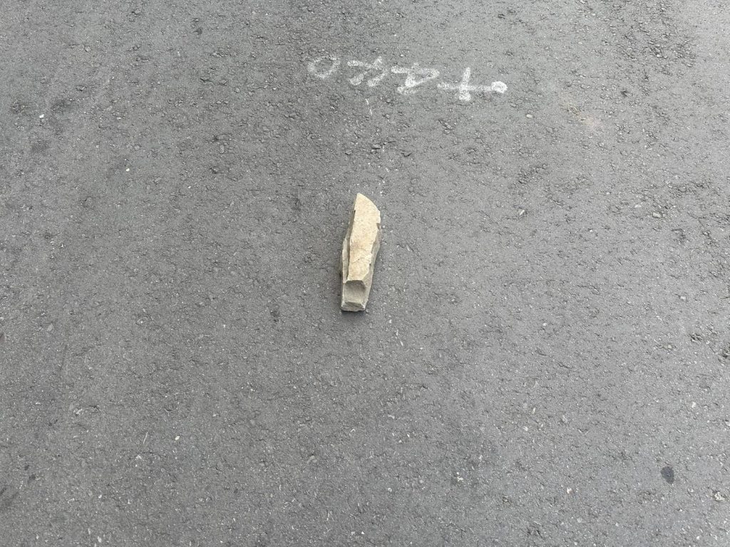 S__489308185_0 - 報新聞 Mega News