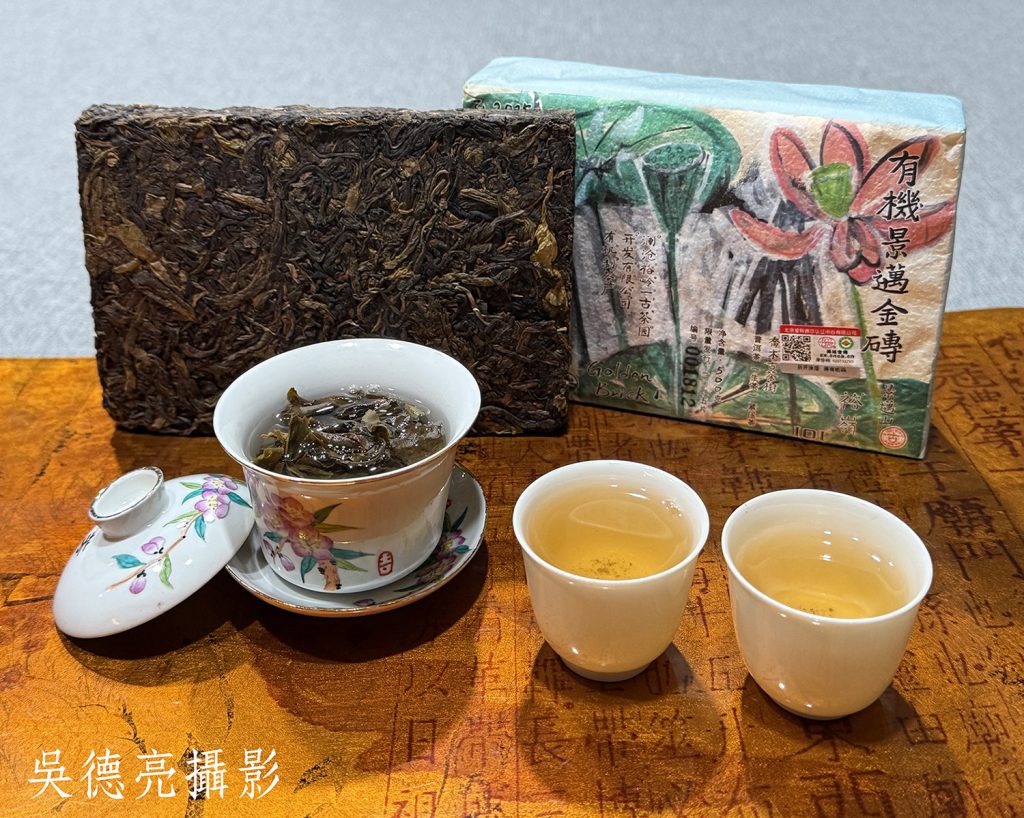 採自世界文化遺產的景邁山古茶樹群落千年金磚品賞
