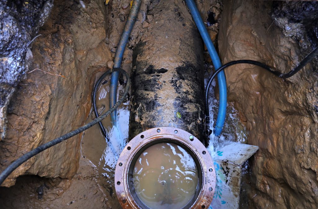 S__497754187_0 - 報新聞 Mega News