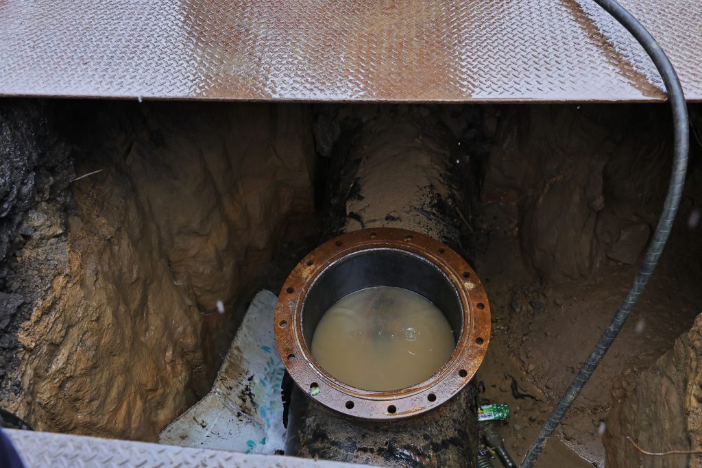 S__497754188 - 報新聞 Mega News