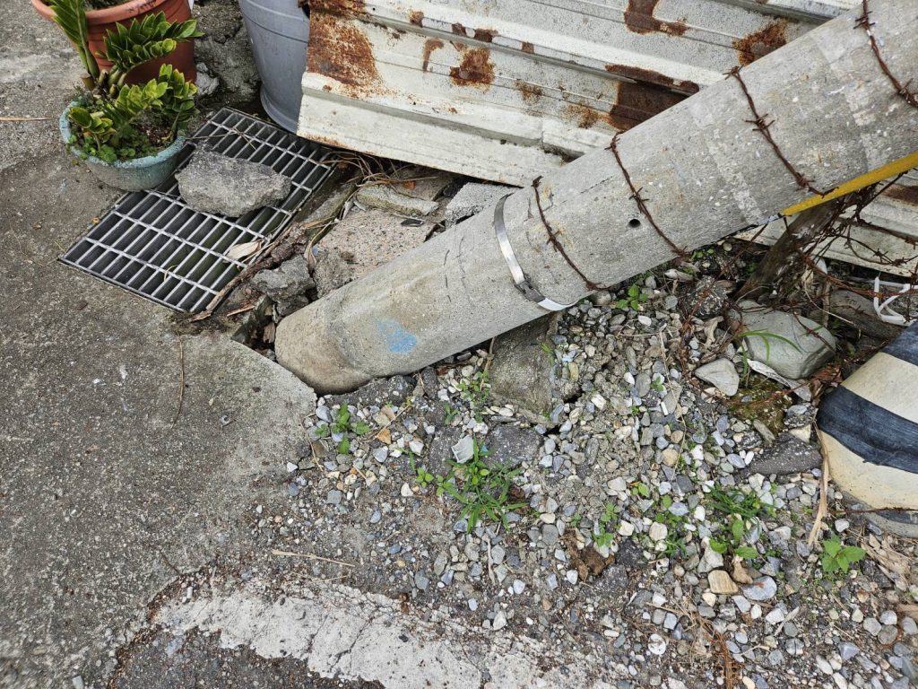 1769754015651 - 報新聞 Mega News