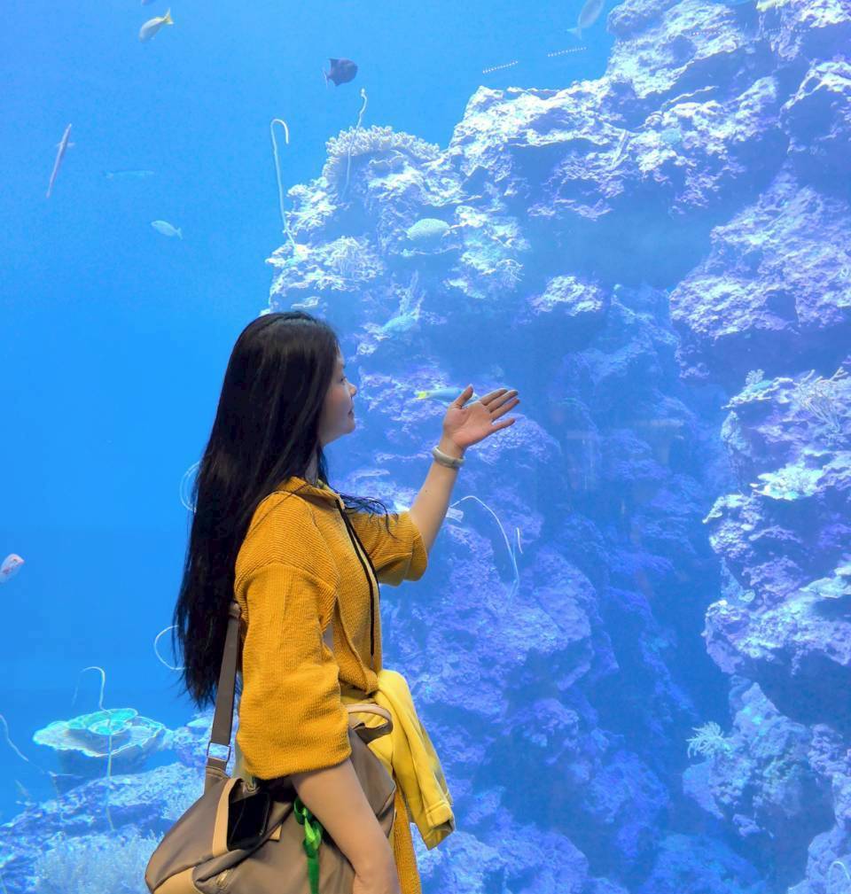 1820454 - 報新聞 Mega News