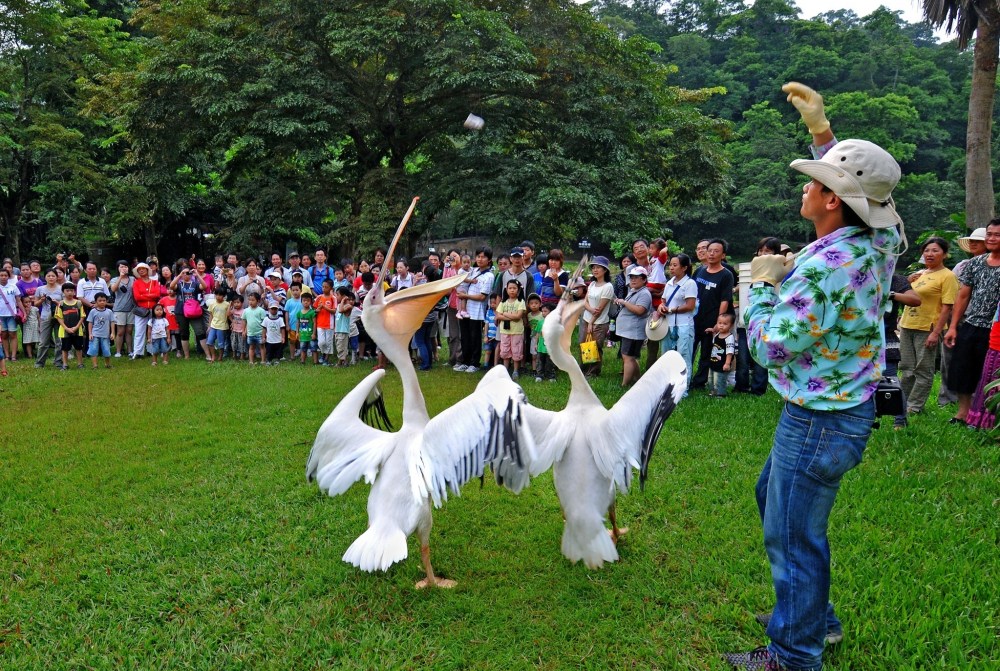 01%E7%B6%A0%E4%B8%96%E7%95%8C%E6%8E%A8%E5%87%BA%E9%A6%AC%E5%85%8D%E8%B2%BB%E8%B6%85%E6%AE%BA%E5%84%AA%E6%83%A0 1