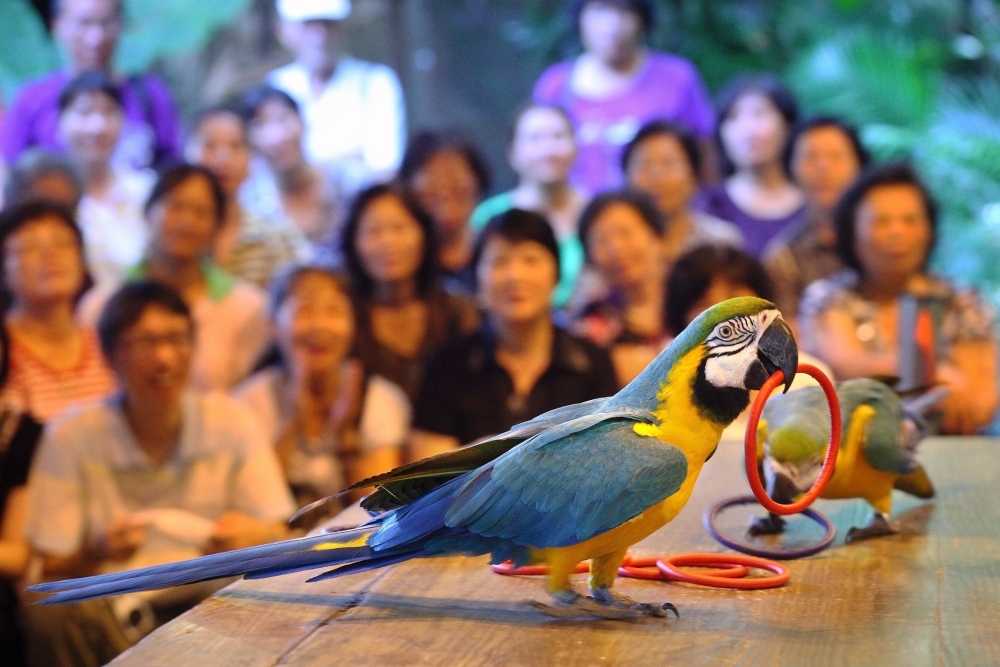 02%E7%B6%A0%E4%B8%96%E7%95%8C%E6%8E%A8%E5%87%BA%E9%A6%AC%E5%85%8D%E8%B2%BB%E8%B6%85%E6%AE%BA%E5%84%AA%E6%83%A0