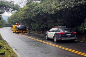 MEITU 20260210 144727049 300x200 1