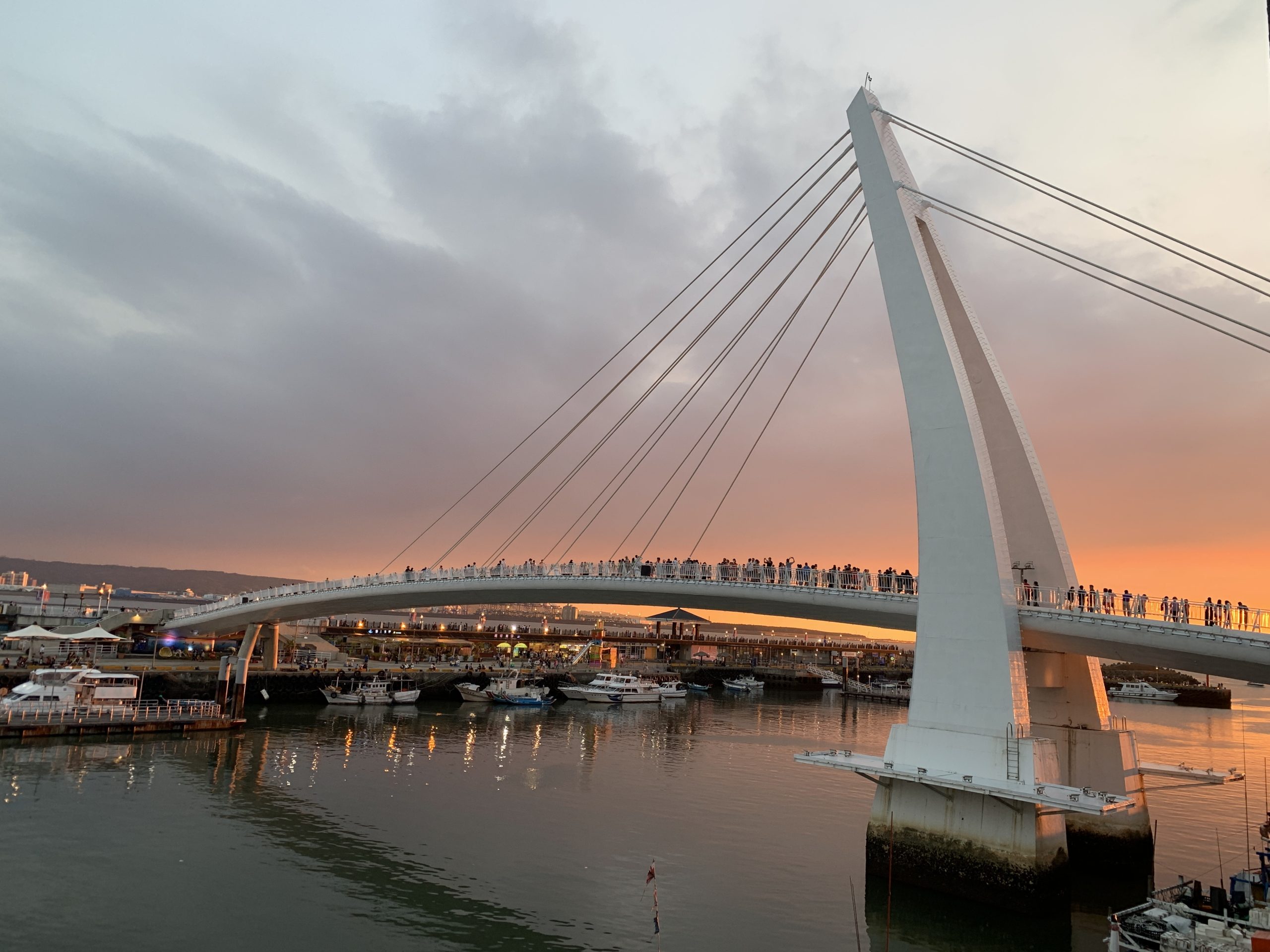 messageImage_1771418511886 - 報新聞 Mega News