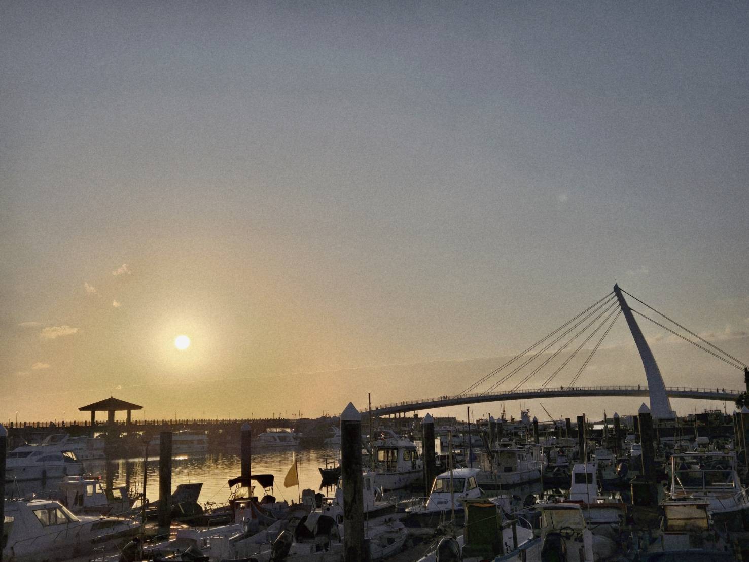 messageImage_1771418541933 - 報新聞 Mega News