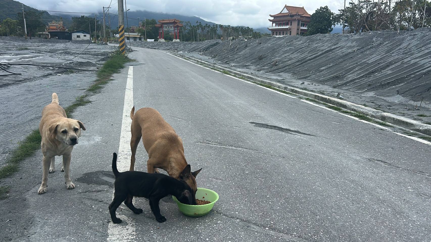法律不只講理，更講求程序正義。合法的證據，才是保護自己的最強後盾。