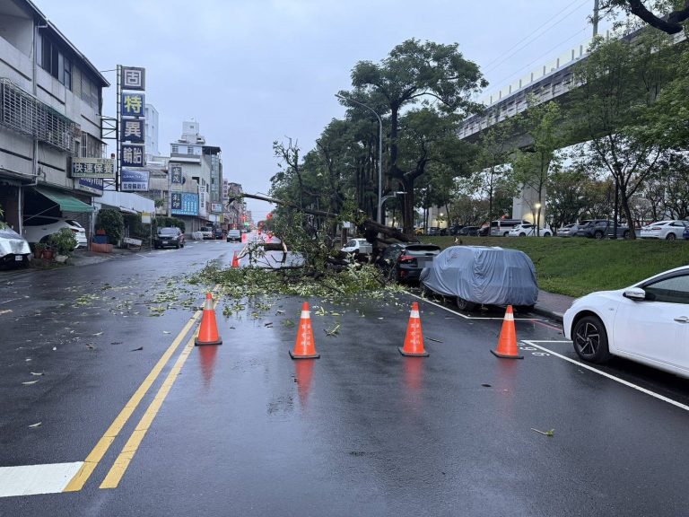 台中北區路樹突倒壓車　警方即時管制幸無人傷