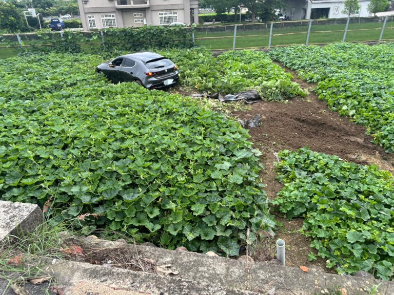 苗栗男酒駕自撞衝落田中央　自小客車卡農田警方到場調查