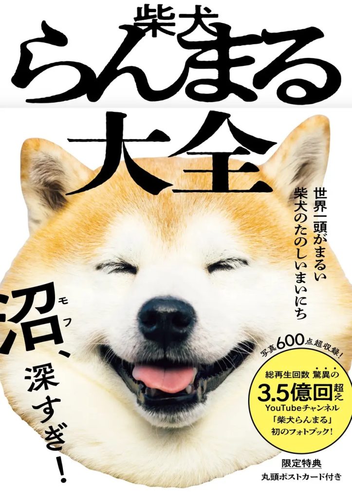 破3.5億觀看！國寶級療癒柴犬Ranmaru首本寫真書正式開賣