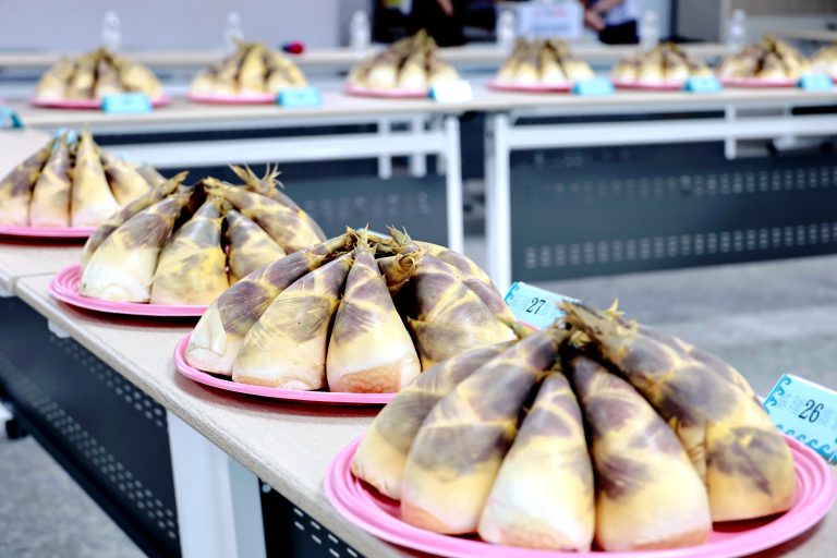 基隆綠竹筍評鑑登場　李添財勇奪特等獎、邱佩琳力推品牌行銷