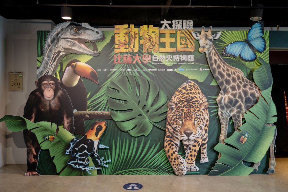 世界級自然史特展來台首展 《動物王國大探險展》科教館登場 35 20260710001