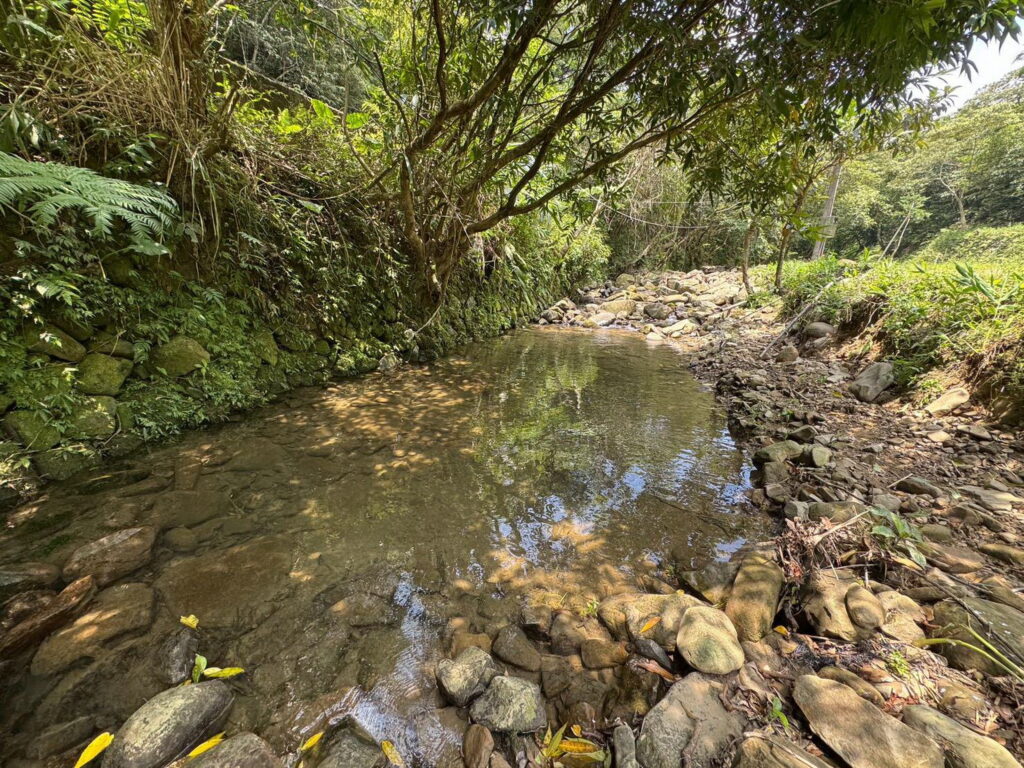 新北封溪護魚成果 北勢溪首度發現陽明山吻鰕虎 解開30年溪流生態謎團 30 0726913