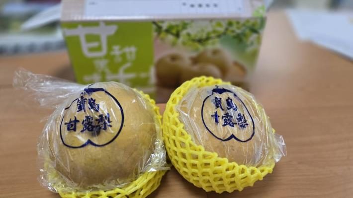 苗栗甘露梨前進新加坡中秋市場 以產品特色尋找市場新機會