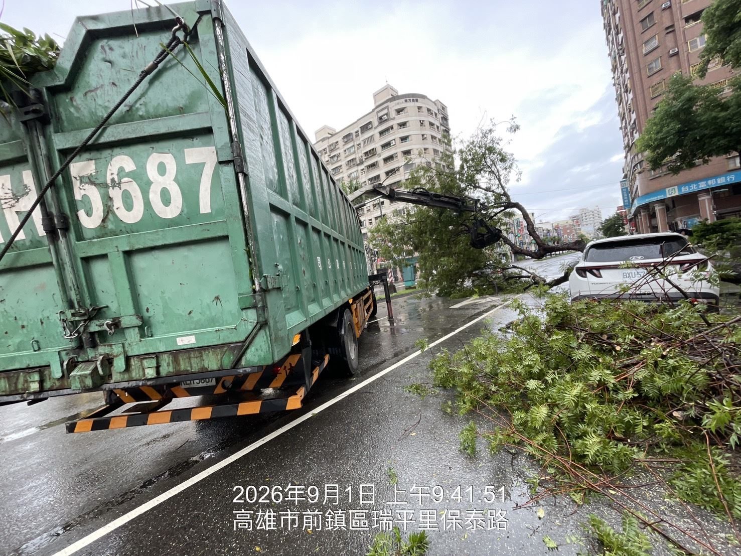 高市保泰路路樹倒伏 公園處迅速排除恢復交通