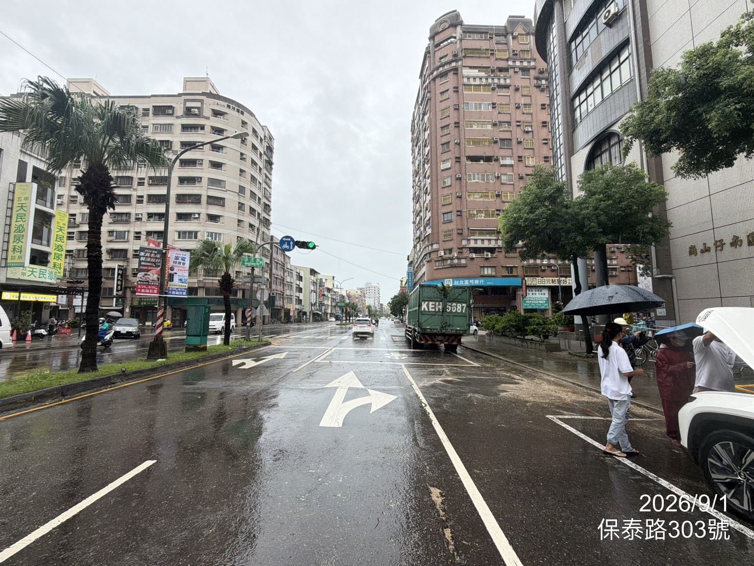 高市保泰路路樹倒伏 公園處迅速排除恢復交通