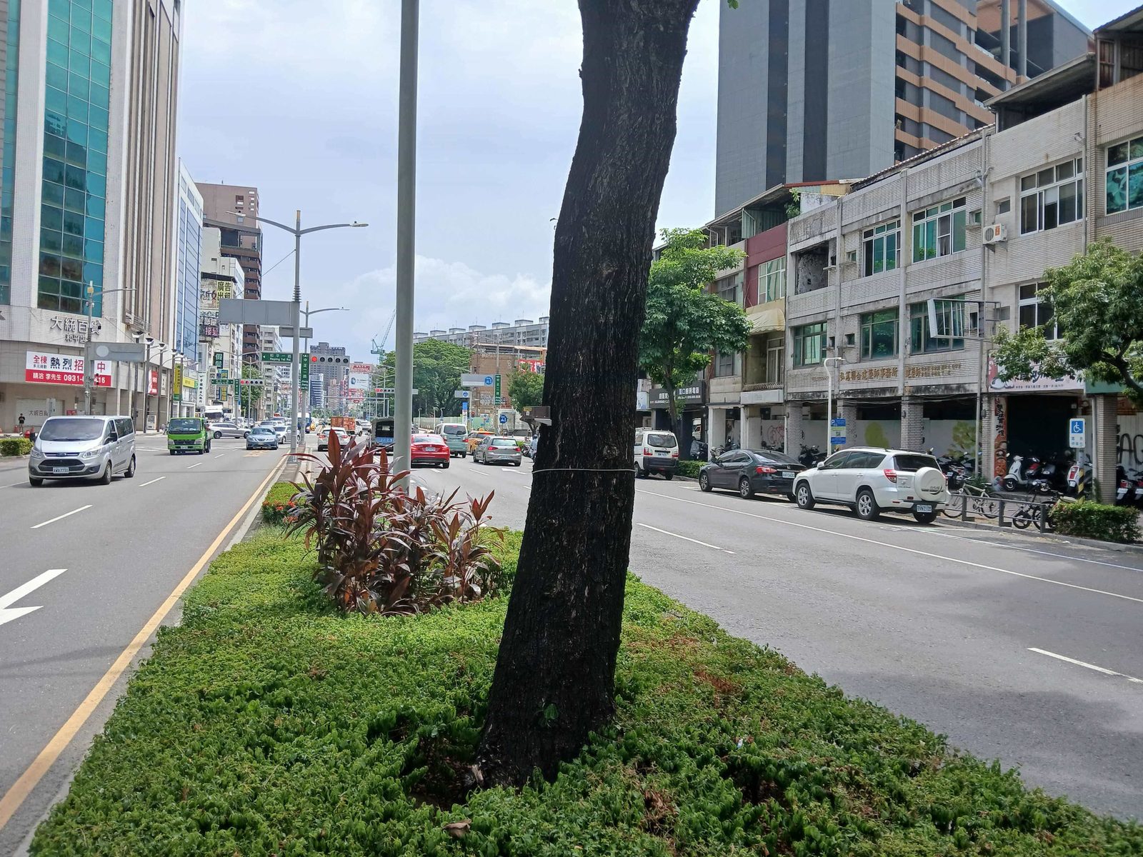 AI預判樹倒風險 高雄智慧防災技術獲臺灣AI卓越獎