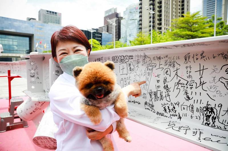 「萌城市」拚出經濟力! 中市38萬毛孩商機旺 寵物產業家數、營業額成長率雙居六都第一