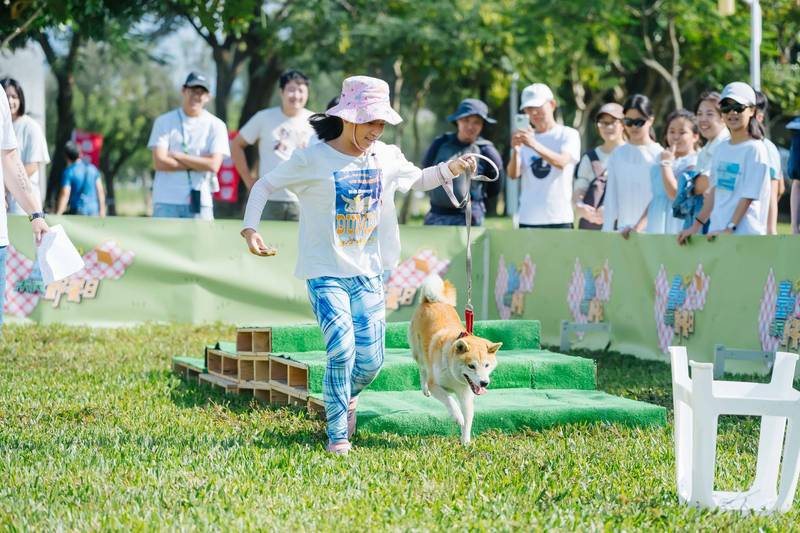 「萌城市」拚出經濟力! 中市38萬毛孩商機旺 寵物產業家數、營業額成長率雙居六都第一